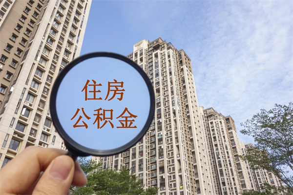 临邑离职多久可以取住房公积金（离职多久后能取公积金）